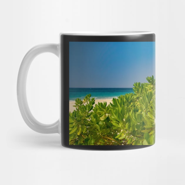 Beautiful tropical beach scenery by Ryansnow876